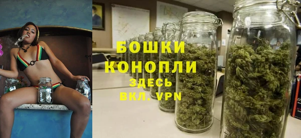 дурь Алзамай