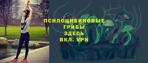 дурь Алзамай